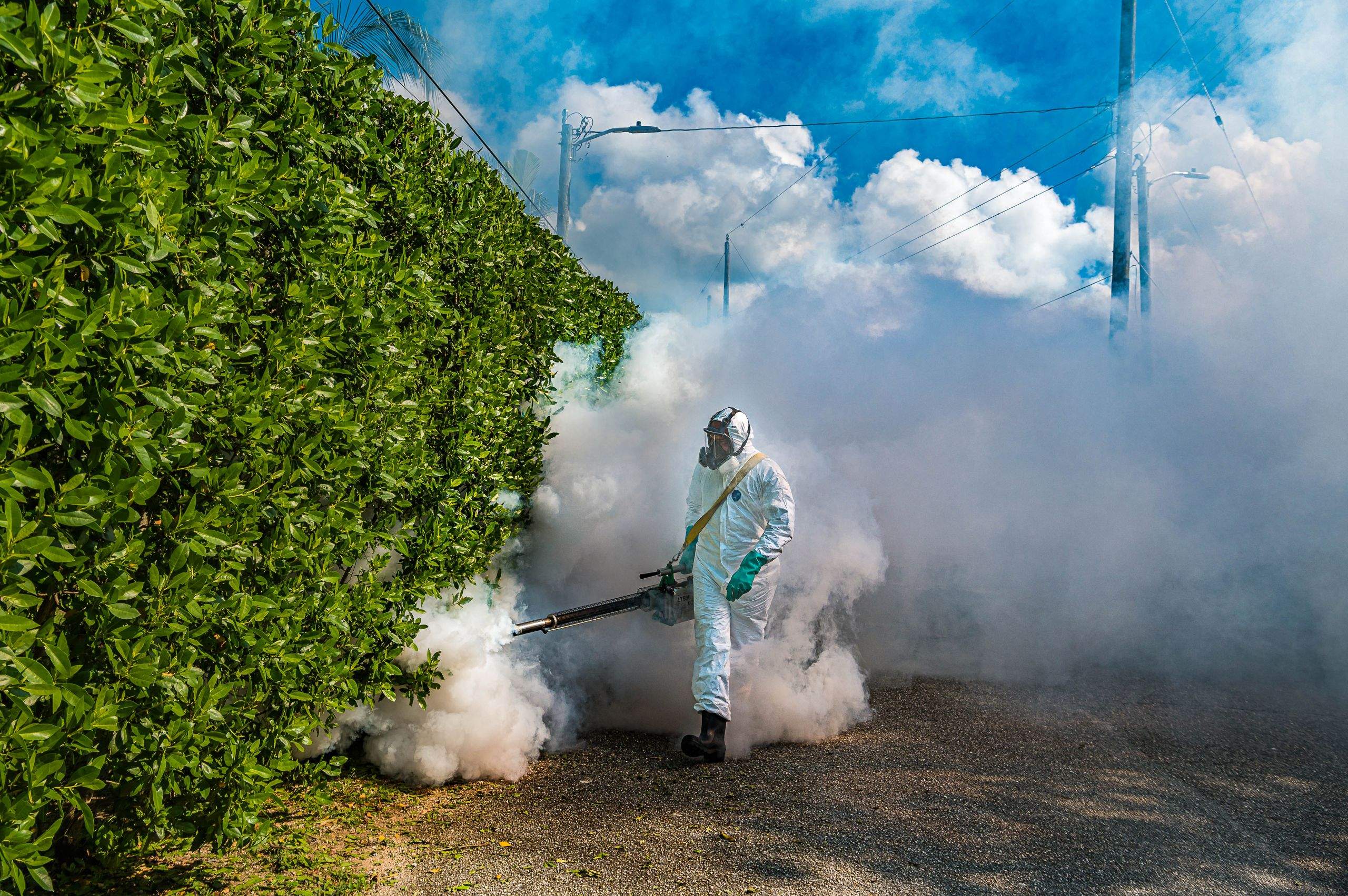 Jasa Fogging Nyamuk Surabaya