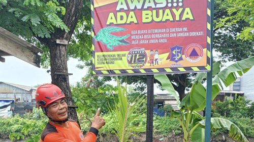 Papan Peringatan Waspada Buaya Dipasang di Sungai Wonorejo Surabaya