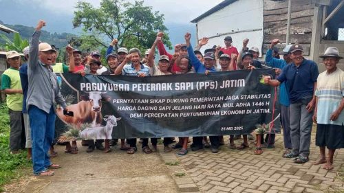 Strategi peternak Jatim