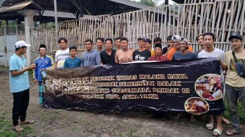 Swasembada pangan nasional