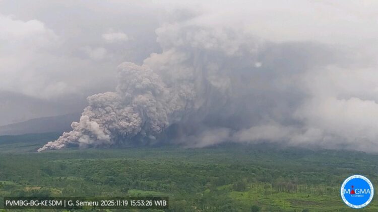 Terjangan awan panas Gunung Semeru saat meletus pada Rabu (19/11) sore. (Foto: Tangkapan Layar PVMBG/BS)