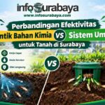 Perbandingan Efektivitas Suntik Bahan Kimia vs Sistem Umpan untuk Tanah di Surabaya