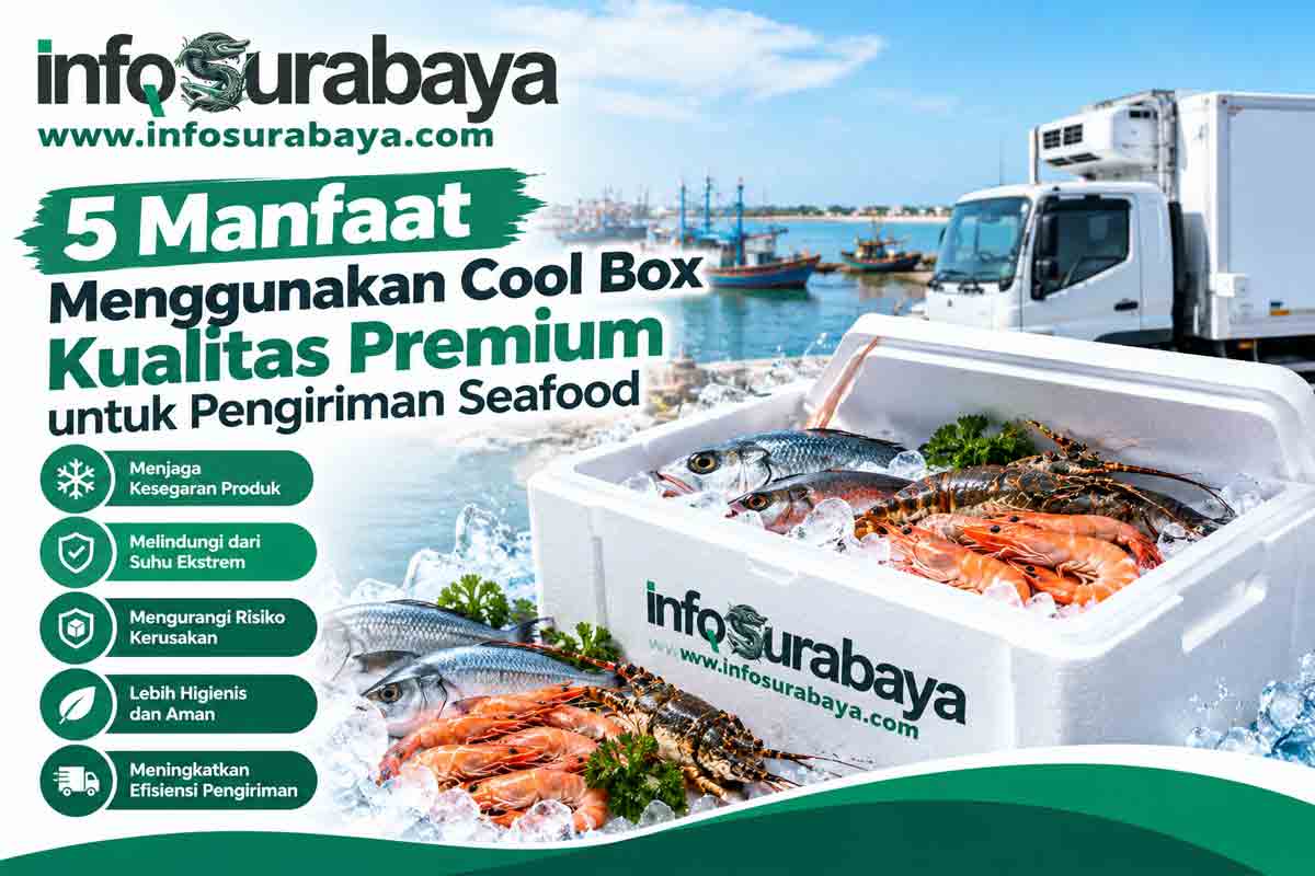distributor cool box terpercaya